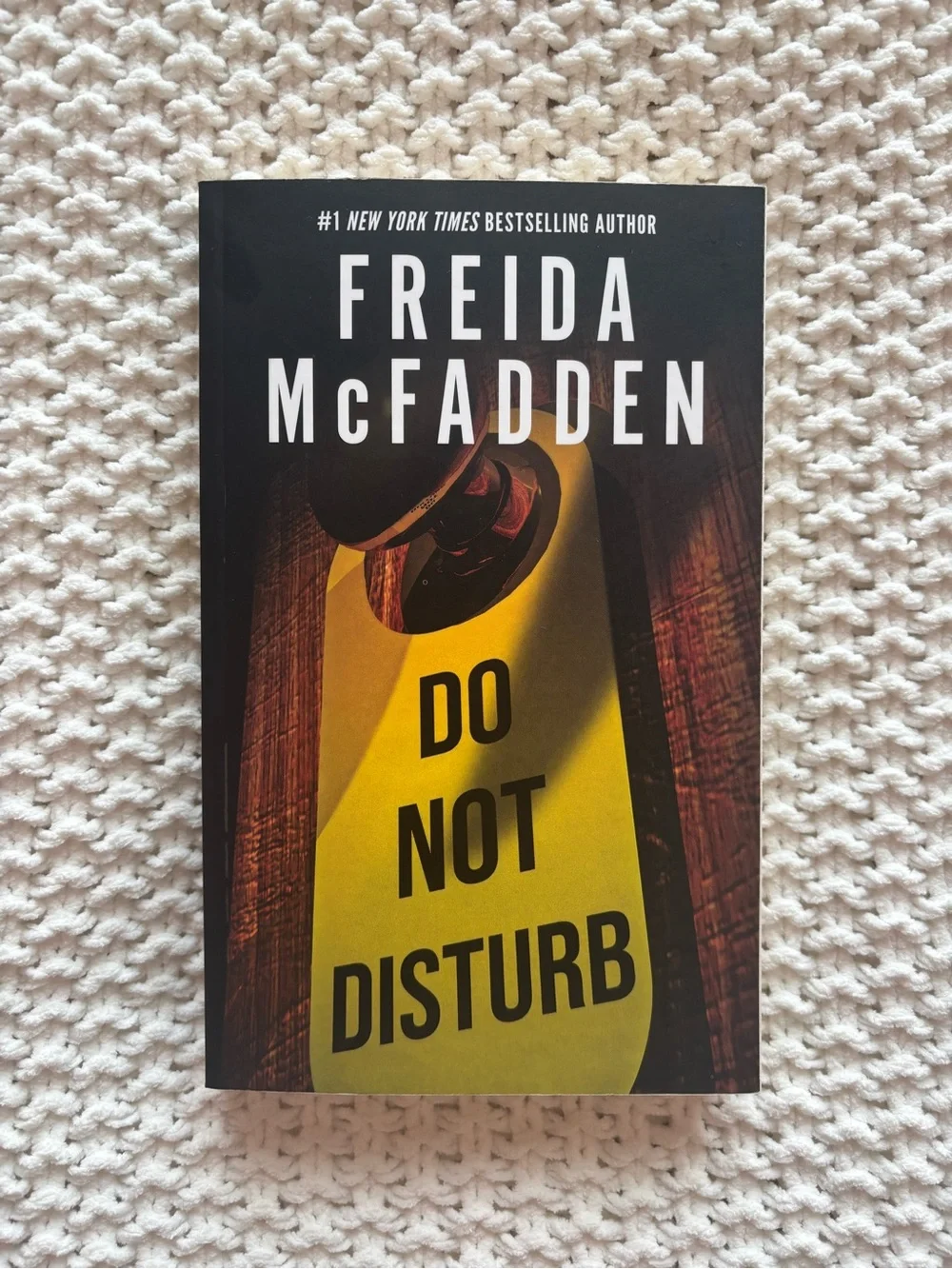 Do Not Disturb by freida mcfadden